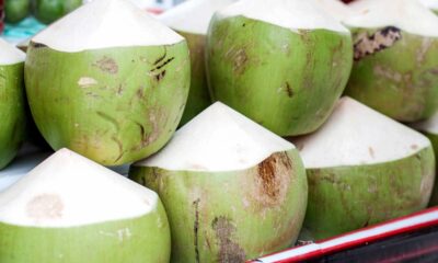 Principais benefícios do coco que fazem essa fruta ser tão valorizada