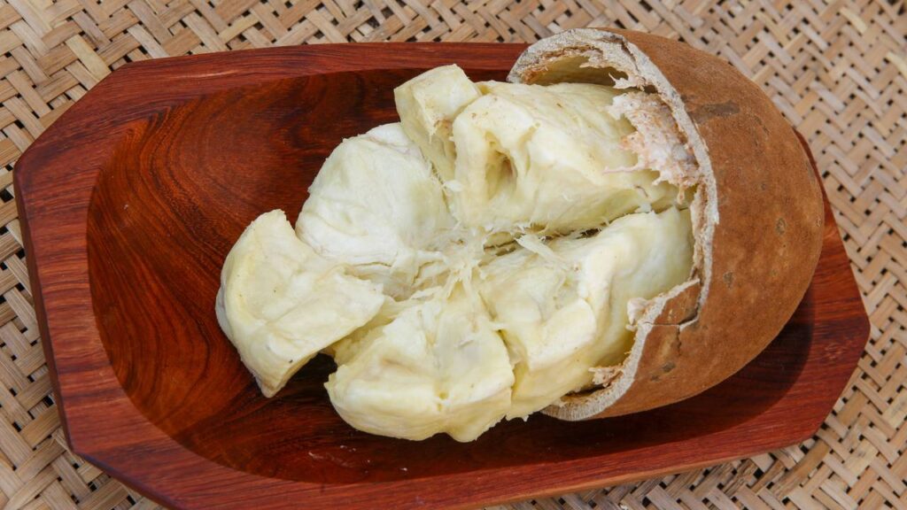 Cupuaçu! Benefícios e propriedades da fruta que todos deveriam conhecer