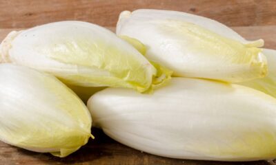 Como plantar endívia em vasos com passos fáceis para colher folhas frescas em casa