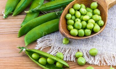 Benefícios da ervilha ajudam na saúde, no controle do peso e na alimentação diária