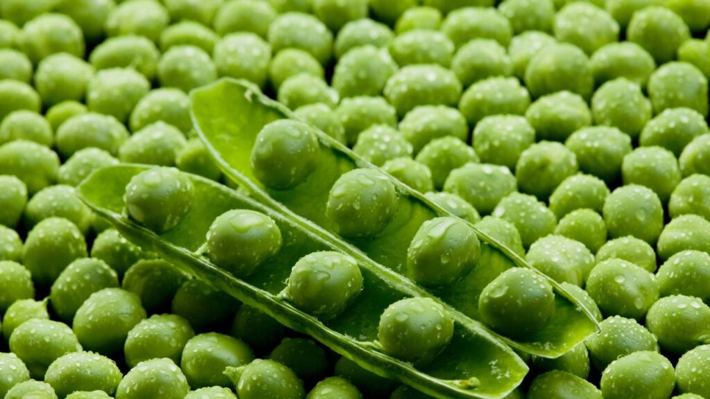 Benefícios da ervilha ajudam na saúde, no controle do peso e na alimentação diária