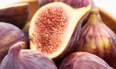 Como cultivar figo em vaso usando um método simples que faz a figueira produzir muito mais frutos