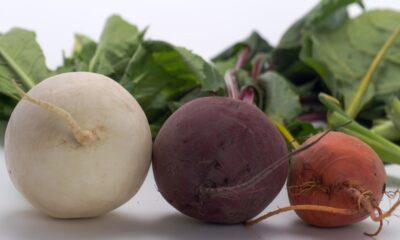 Folhas das raízes são úteis e nutrem mais do que muitos alimentos; veja
