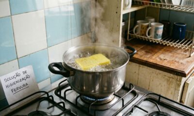 Não jogue fora suas esponjas de cozinha usadas: ferva elas por 5 minutos e elimine o mau cheiro escondido