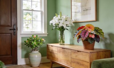 3 flores que simbolizam prosperidade e renovação e transformam o clima do lar