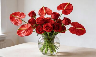 Arranjos duradouros começam com a escolha certa dessas flores