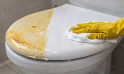 Plástico do vaso sanitário ficou amarelo? Veja como recuperar o branco original