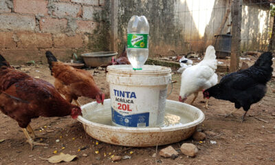 Corte um balde de tinta e transforme em economia no quintal