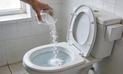 O truque simples que elimina o mau cheiro do banheiro mesmo depois da limpeza