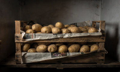 Adeus batata brotando e mole: o jeito certo de guardar para durar muito mais sem cheiro ruim