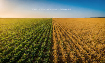 Frase do dia: Deus nunca chega atrasado, Ele age no tempo certo