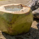 O que faz a água de coco ser vista como uma bebida viva para o atleta