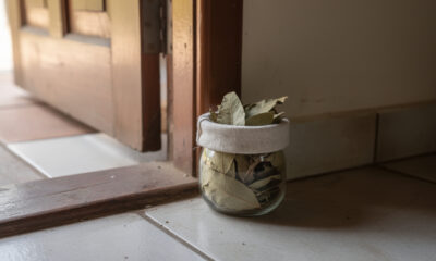 Colocar folhas de louro perto da porta de entrada da casa: por que recomendam e para que serve