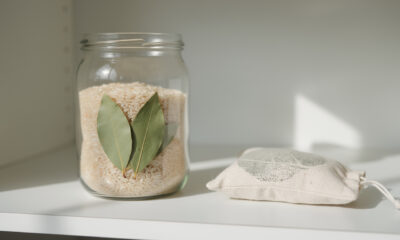 Colocar folhas de louro dentro do armário da cozinha: para que serve e por que recomendam