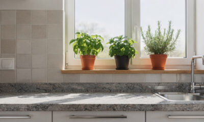 Plantas ideais para cozinha que combinam beleza, praticidade e estilo no mesmo ambiente