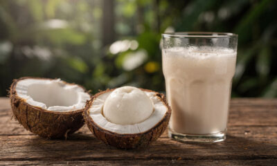 Cupuaçu! Benefícios e propriedades da fruta que todos deveriam conhecer