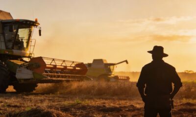 Quando a morte no trabalho não gera responsabilidade do empregador