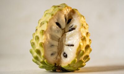 A atemoia-anã que cabe no quintal pequeno e surpreende na produção