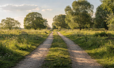 Versículo do dia: Salmos 37:5 — Entrega o teu caminho