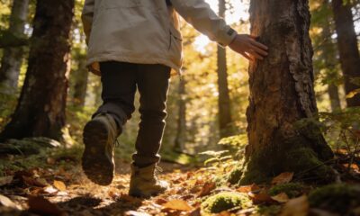 Por que o clima muda quando você entra em um lugar cheio de plantas