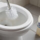 Despeje essa bebida popular no vaso sanitário. Em quinze minutos, o vaso limpo como um novo