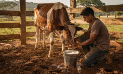 Ele trocou o conforto da cidade pela lida pesada e não quer voltar