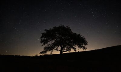 A lua some e a natureza reage de formas quase invisíveis
