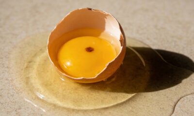 Mancha marrom na gema do ovo é perigosa ou pode comer sem medo?