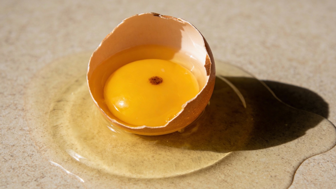 Mancha marrom na gema do ovo é perigosa ou pode comer sem medo?