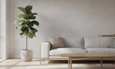 Plantas que valorizam o ambiente sem chamar atenção excessiva e deixam o espaço mais sofisticado