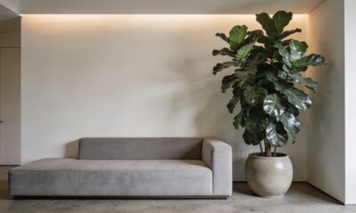 Top 5 plantas grandes para decoração dentro de casa que transformam qualquer ambiente