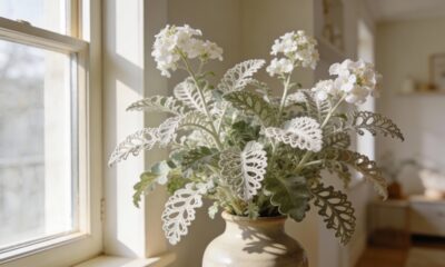 Uma planta simples que passou a representar cuidado e proteção interna