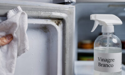Passar vinagre nas borrachas da geladeira: para que serve e por que isso evita mofo preto e cheiro forte ao abrir a porta