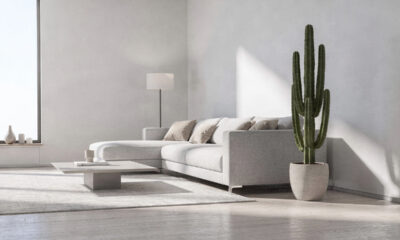 Como decorar usando cactos e deixar a casa mais moderna sem exagerar no visual