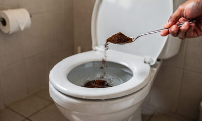 Uma colherada basta: é por isso que cada vez mais pessoas estão jogando pó de café no vaso sanitário