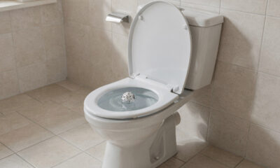 Bola de papel alumínio no vaso sanitário: o truque simples que deixa o banheiro cheiroso por dias sem esforço