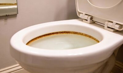 Melhor truque caseiro para eliminar manchas de água dura no vaso sanitário