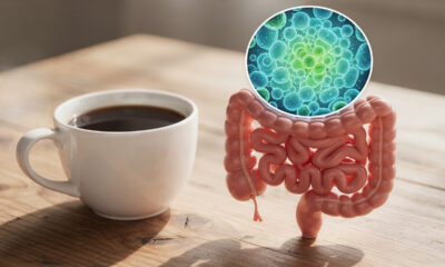 Café protege a microbiota intestinal e pode fortalecer bactérias boas no intestino, diz estudo
