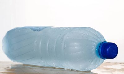 Comedouro e bebedouro para pintinhos com garrafa PET simples de fazer e muito eficiente