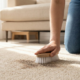 Essa limpeza simples pode salvar seu carpete