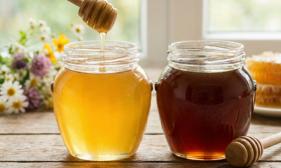 Qual a diferença entre mel claro e mel escuro e qual deles é realmente melhor