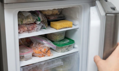 Uma esponja no seu freezer pode ser uma mão na roda