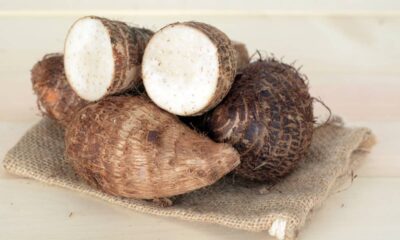 Plantar inhame em vaso pode ser a forma mais prática de ter alimento fresco sempre à mão