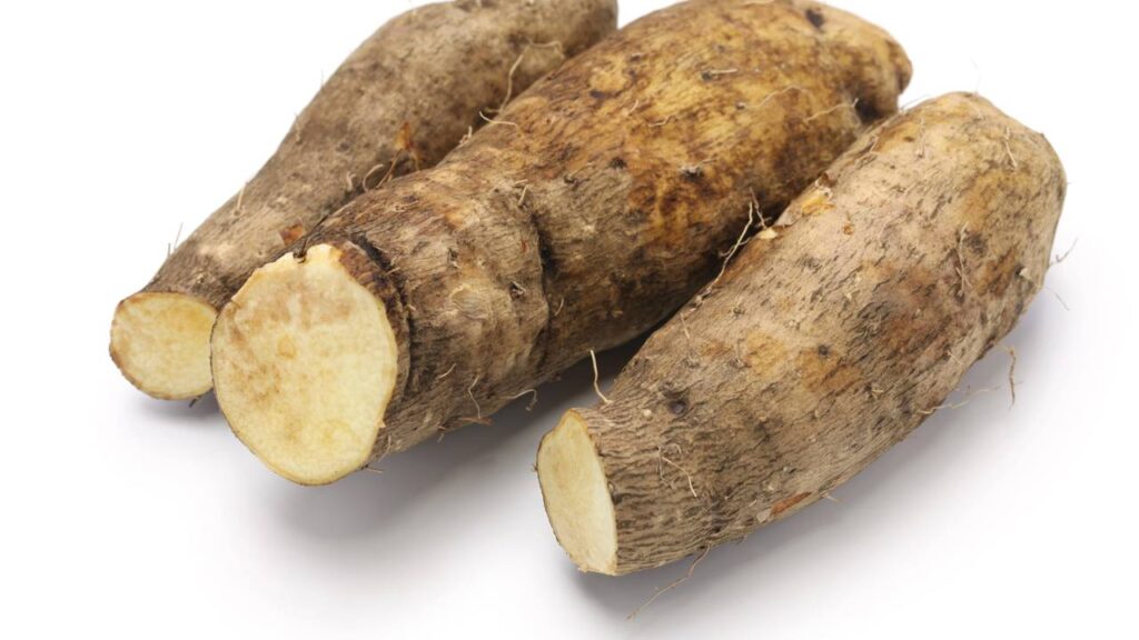 Plantar inhame em vaso pode ser a forma mais prática de ter alimento fresco sempre à mão