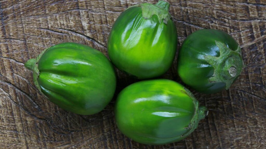 Como plantar jiló passo a passo e colher frutos saudáveis durante todo o ciclo