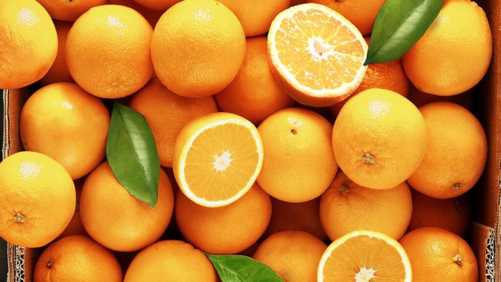 Laranja faz bem para os rins? O que acontece no corpo ao consumir a fruta com frequência