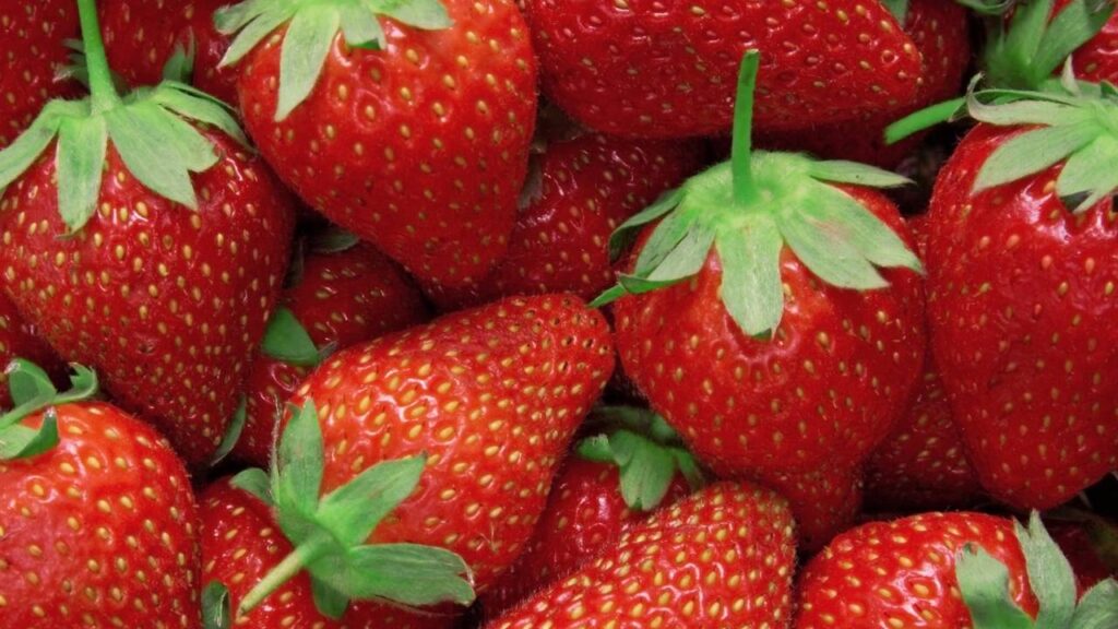 Por que o morango é considerado uma das frutas mais completas para a saúde