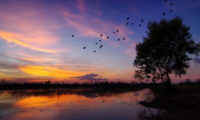 O silêncio da noite faz o som alcançar distâncias que surpreendem
