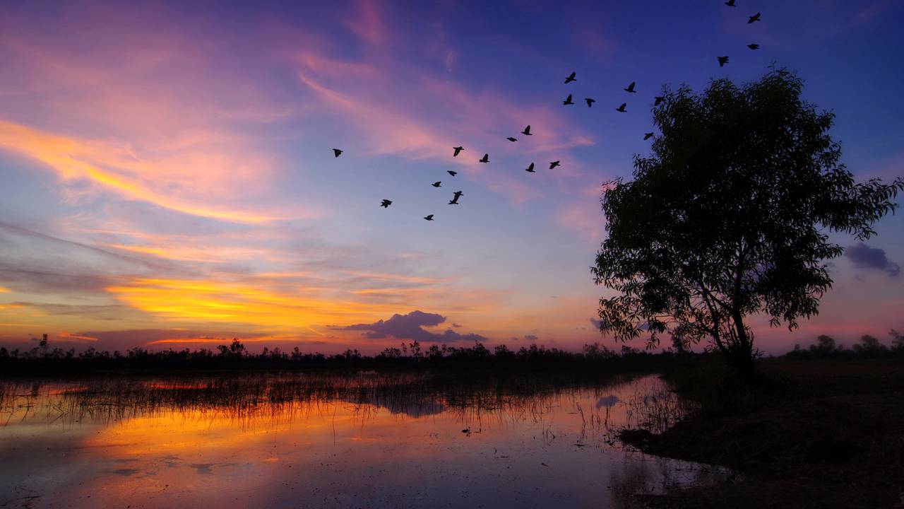 O silêncio da noite faz o som alcançar distâncias que surpreendem