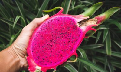 Benefícios da pitaya para a saúde que explicam por que essa fruta chama tanta atenção